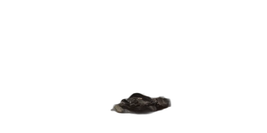 shoes, hair, hat, animal transparent PNG cut-out