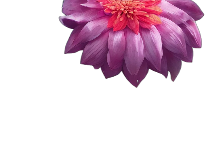 flower, crown, jewelry, umbrella transparent PNG cut-out
