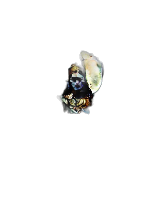 face, mask, creature, staff transparent PNG cut-out