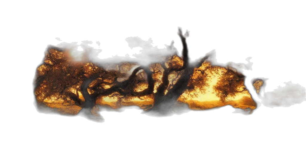 dragon, sword, crown, food transparent PNG cut-out