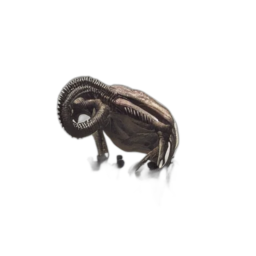 animal, creature, hair, dragon transparent PNG cut-out