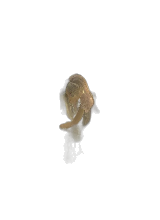 creature, hair, animal, crown transparent PNG cut-out