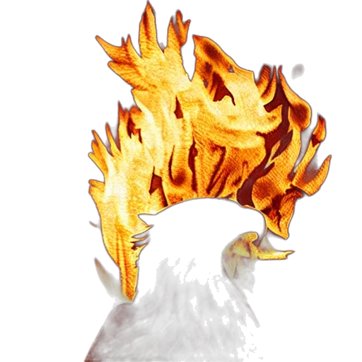 dragon, animal, crown, hair transparent PNG cut-out