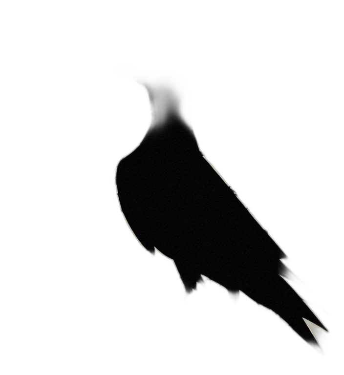 animal, mask, crown, face transparent PNG cut-out