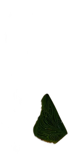 hat, hair, dress, jacket transparent PNG cut-out
