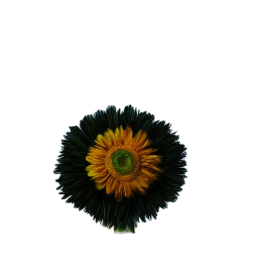 flower, crown, jewelry, staff transparent PNG cut-out