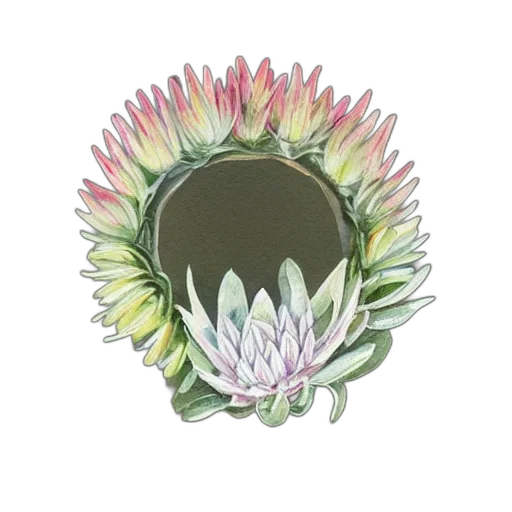 flower, crown, jewelry, jacket transparent PNG cut-out