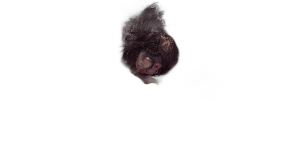 hair, animal, creature, face transparent PNG cut-out