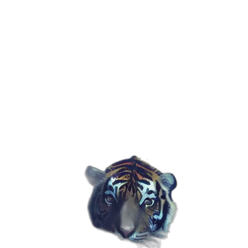 jewelry, animal, crown, creature transparent PNG cut-out