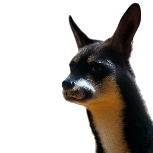 animal, staff, creature, mask transparent PNG cut-out