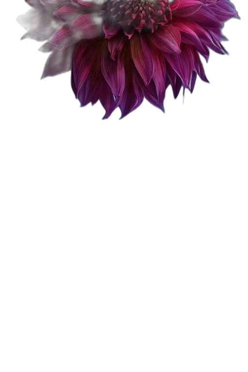 crown, flower, hair, staff transparent PNG cut-out