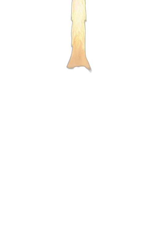 staff, hair, weapon, animal transparent PNG cut-out