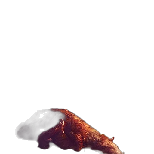 animal, dragon, creature, food transparent PNG cut-out