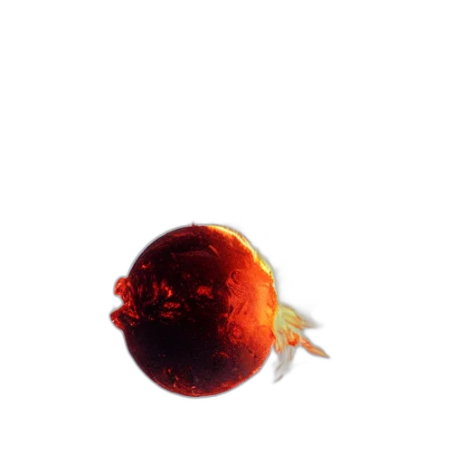 food, crown, animal, creature transparent PNG cut-out