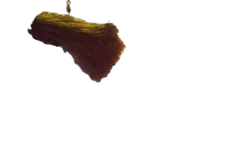 hair, staff, tree, hat transparent PNG cut-out