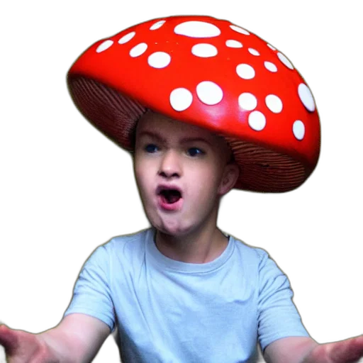 hat, creature, crown, umbrella transparent PNG cut-out