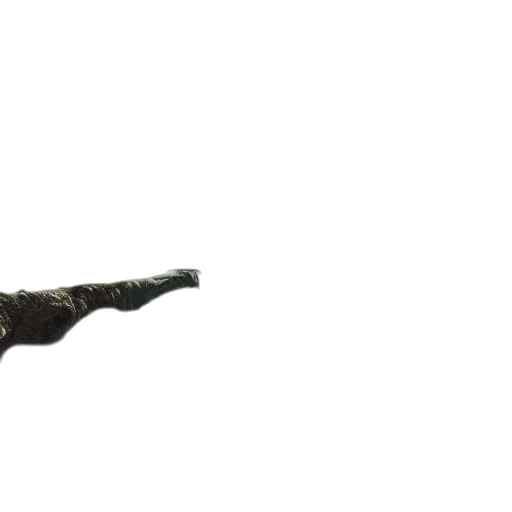 weapon, staff, sword, animal transparent PNG cut-out