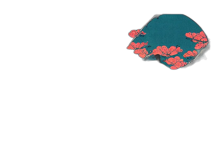 flower, crown, umbrella, hat transparent PNG cut-out