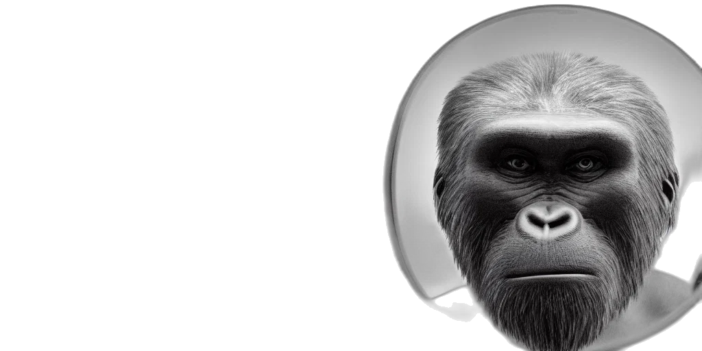 animal, face, creature, mask transparent PNG cut-out