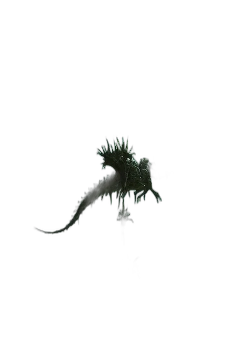 dragon, creature, animal, hair transparent PNG cut-out