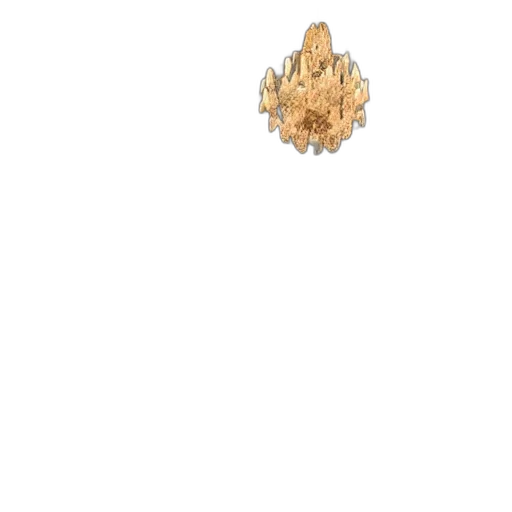jewelry, crown, flower, hair transparent PNG cut-out