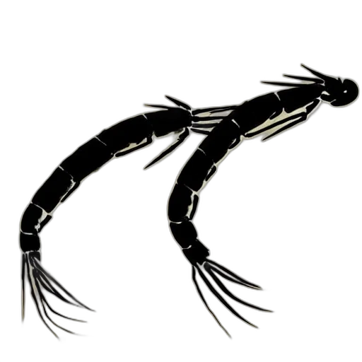 animal, creature, staff, jewelry transparent PNG cut-out