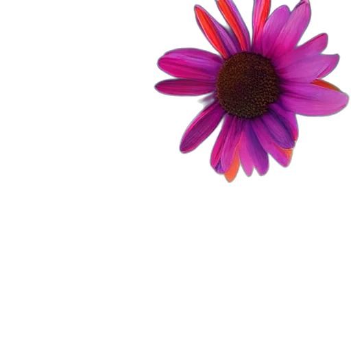 flower, crown, jewelry, staff transparent PNG cut-out