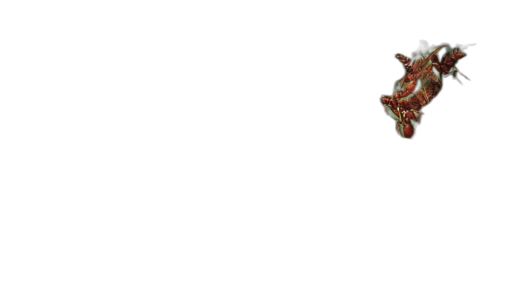staff, crown, mask, weapon transparent PNG cut-out