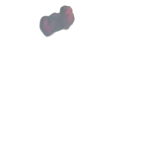 shoes, hat, weapon, face transparent PNG cut-out