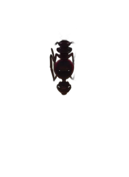 animal, creature, crown, dragon transparent PNG cut-out