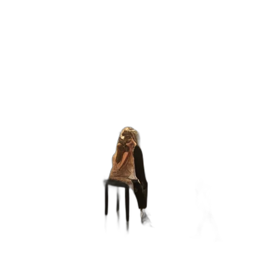 furniture, hair, creature, animal transparent PNG cut-out