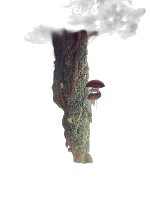tree, staff, crown, dragon transparent PNG cut-out