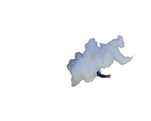 dragon, hair, animal, creature transparent PNG cut-out