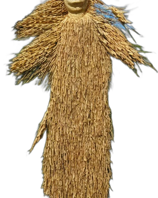 hair, staff, hat, crown transparent PNG cut-out