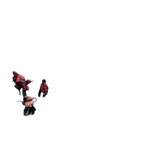 umbrella, creature, shoes, dragon transparent PNG cut-out