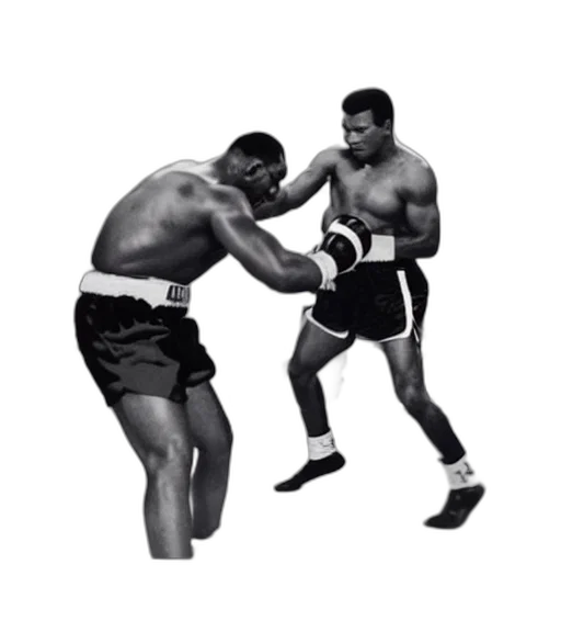 photorealistic, photograph, mike, tyson transparent PNG cut-out