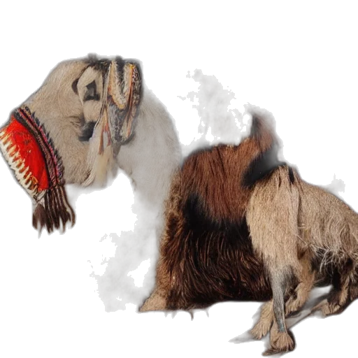 animal, mask, creature, hair transparent PNG cut-out
