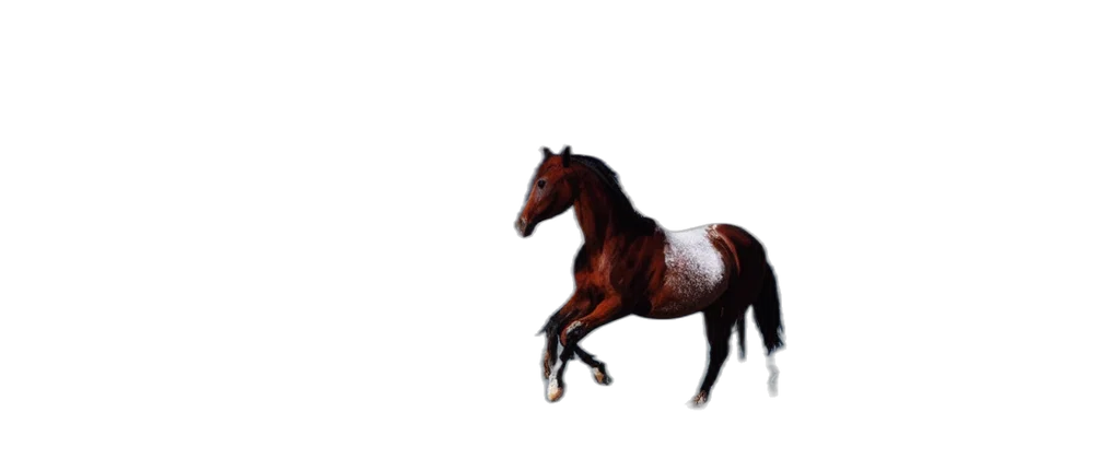 animal, creature, dragon, hair transparent PNG cut-out