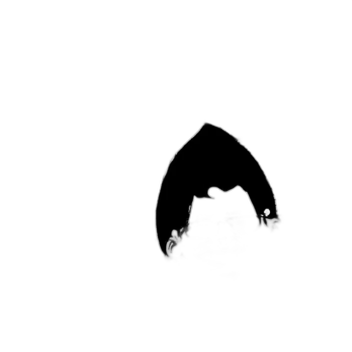 hair, mask, face, creature transparent PNG cut-out