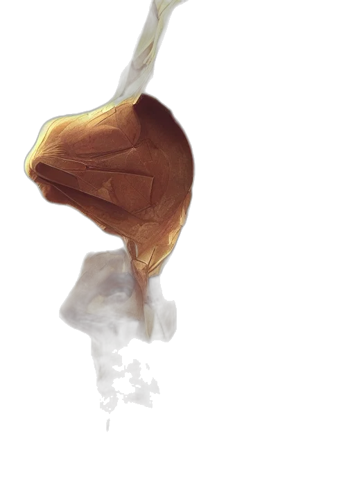 food, mask, hair, flower transparent PNG cut-out