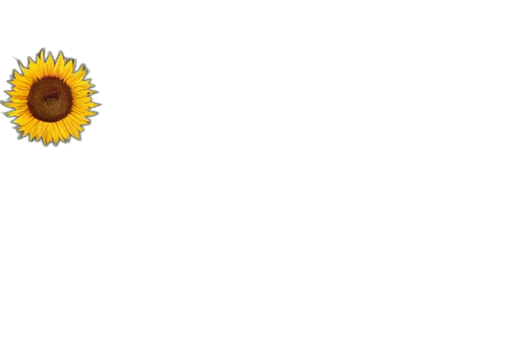 staff, crown, jewelry, furniture transparent PNG cut-out