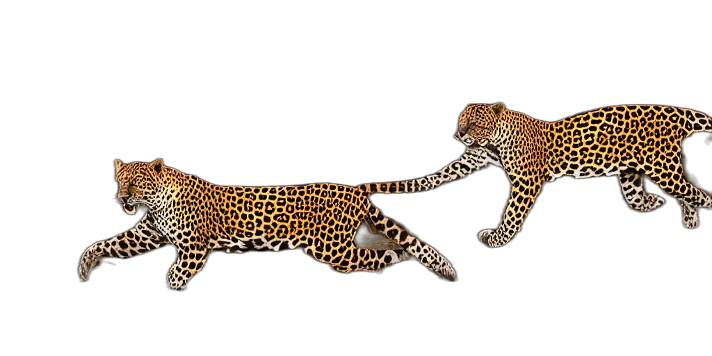 animal, creature, jewelry, staff transparent PNG cut-out