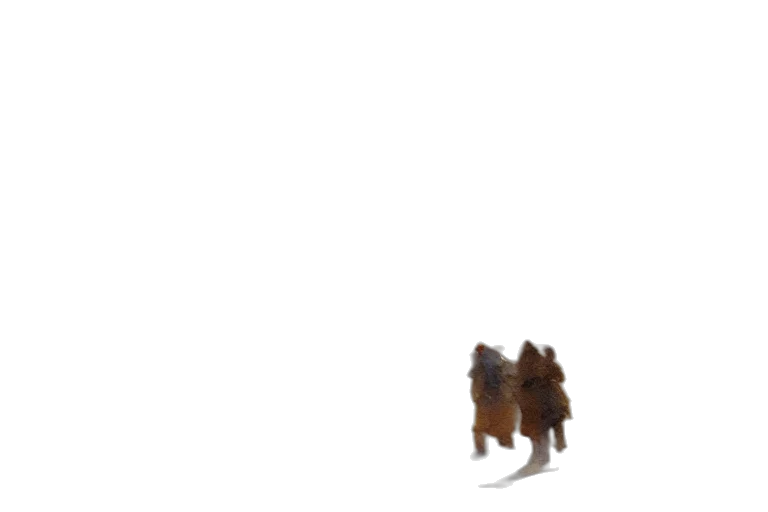 animal, creature, robot, shoes transparent PNG cut-out