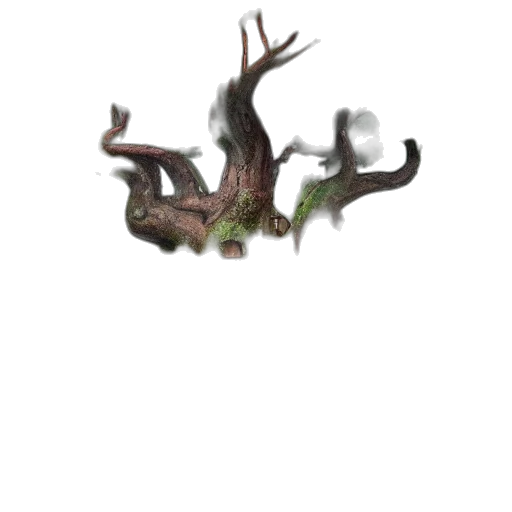 tree, dragon, creature, crown transparent PNG cut-out