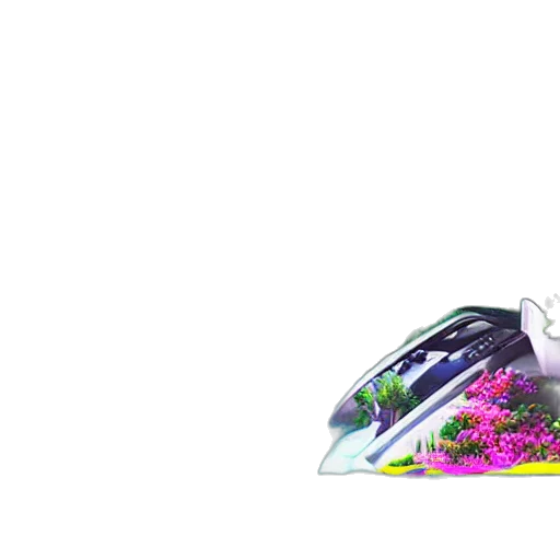 car, flower, jewelry, crown transparent PNG cut-out