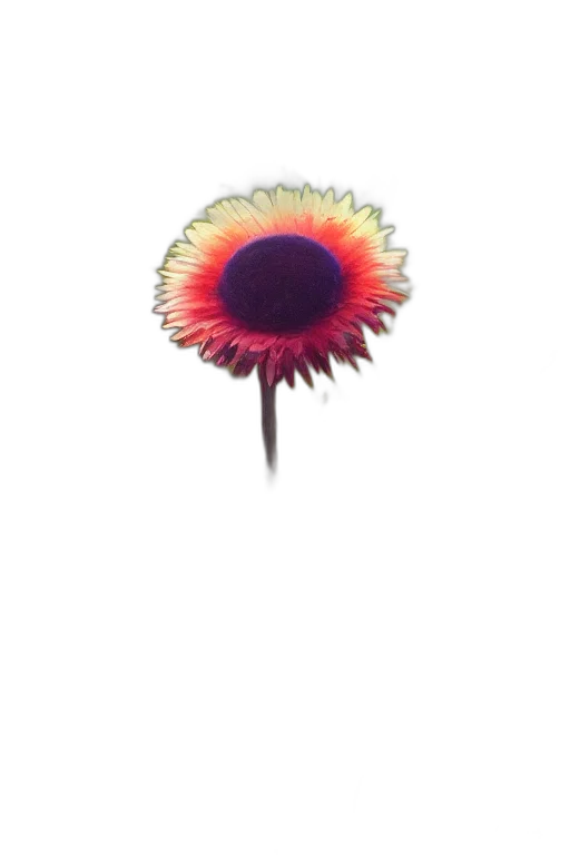 flower, umbrella, staff, crown transparent PNG cut-out