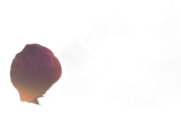 mask, crown, hat, hair transparent PNG cut-out