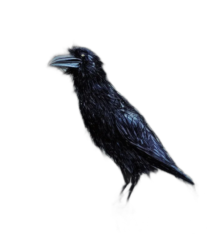 animal, creature, hair, staff transparent PNG cut-out