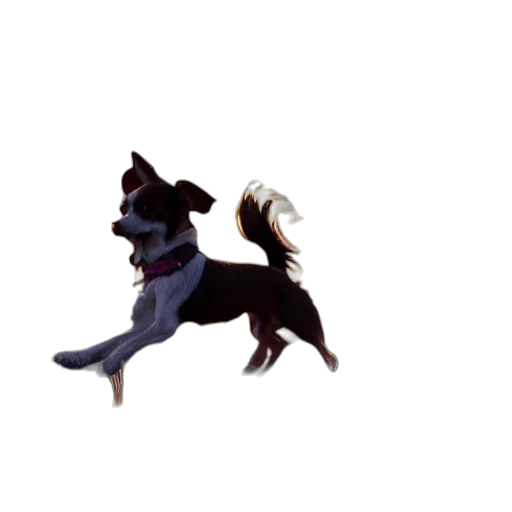 animal, creature, staff, dragon transparent PNG cut-out