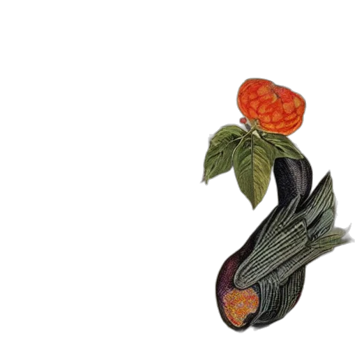 food, flower, crown, hat transparent PNG cut-out